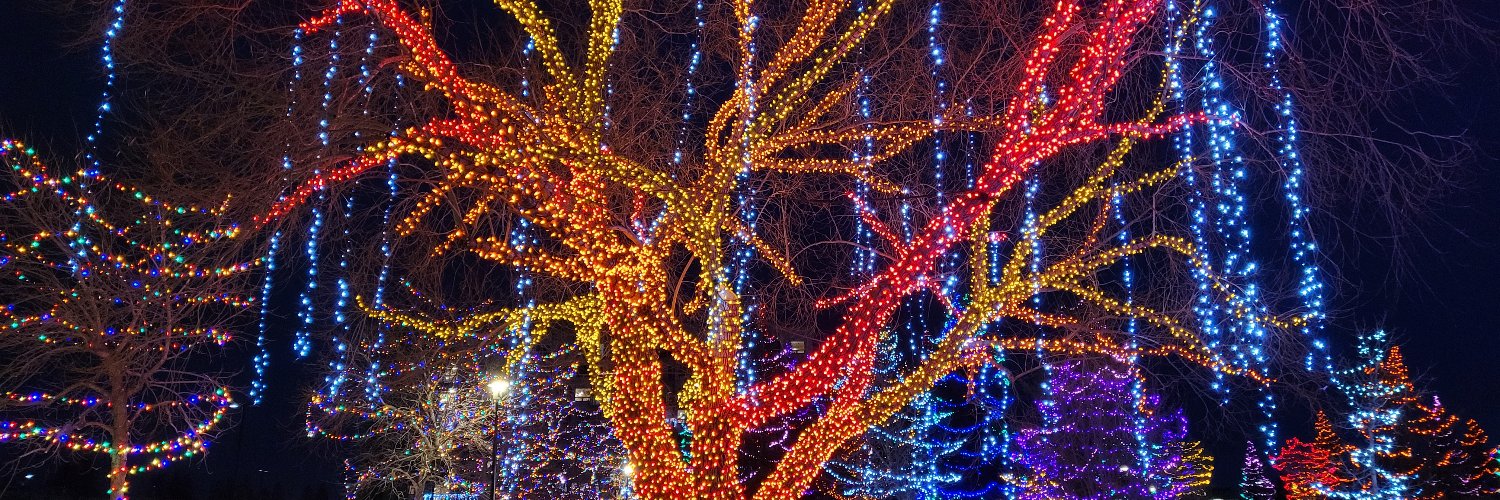 Trevor Iampen banner