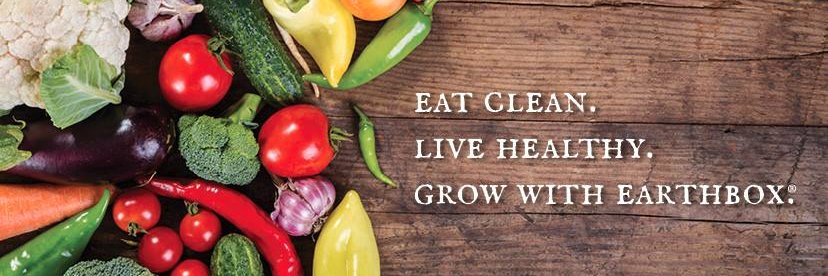 EarthBox® banner