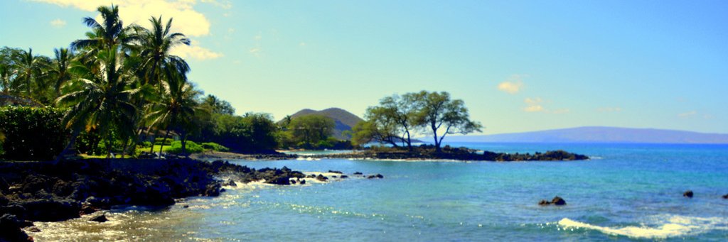 greglewis9302's profile banner image