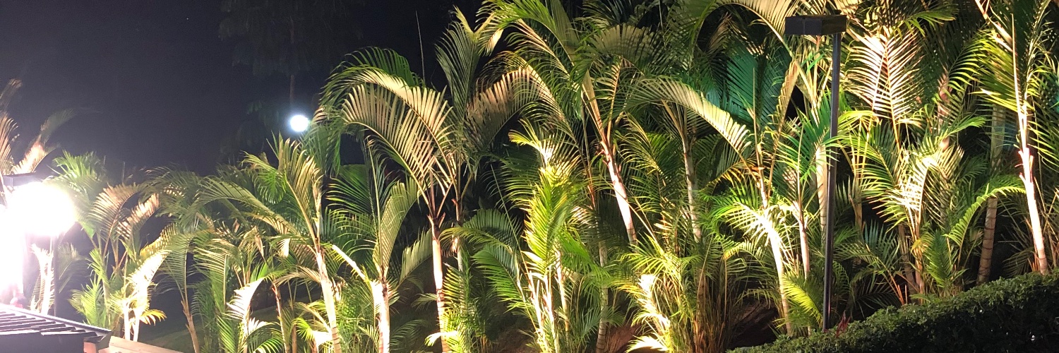 KARLLOSSANTOS's profile banner image