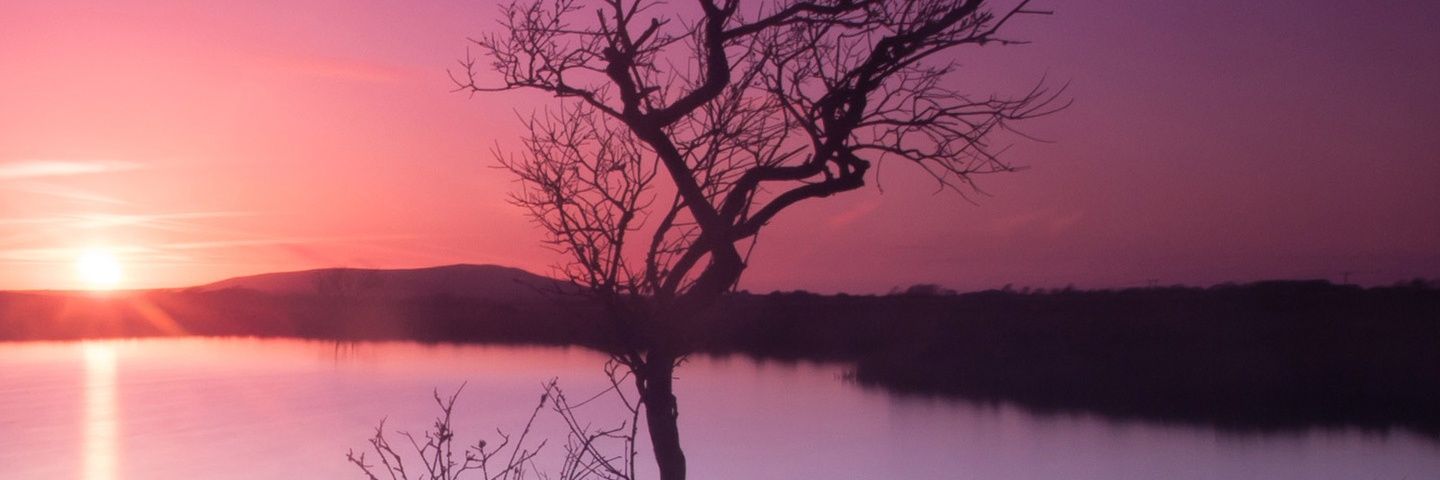 hinajib's profile banner image