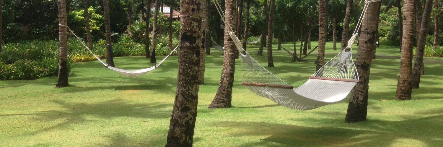 laliparikh's profile banner image