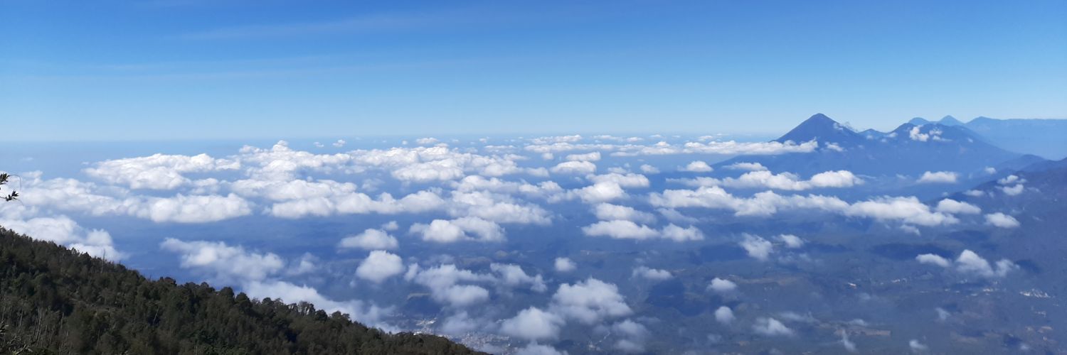 kriscarrillo's profile banner image