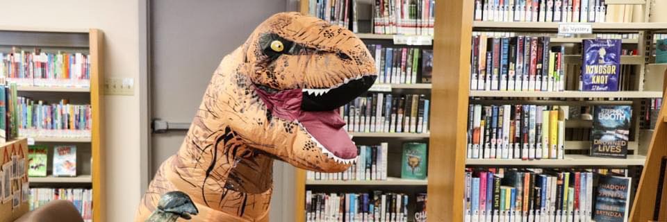 Kingston Frontenac Public Library banner