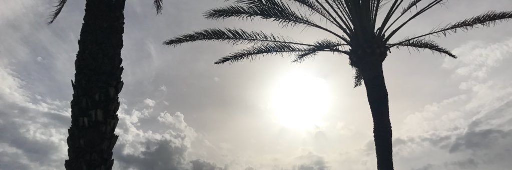 Kristiaan Flierman banner