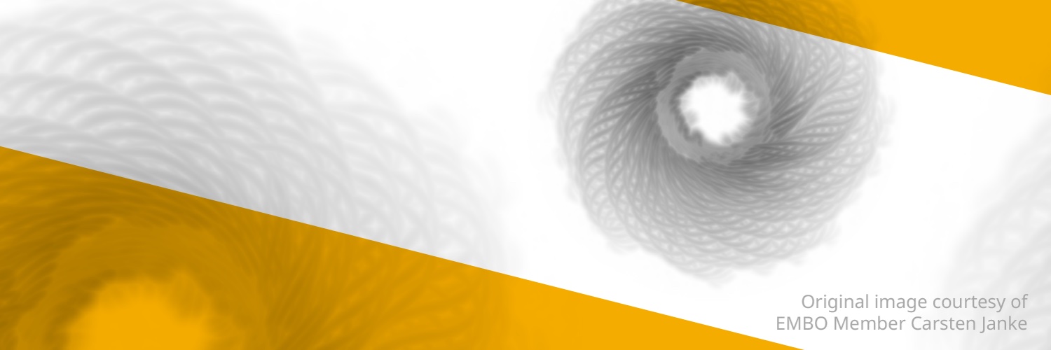 EMBO's banner