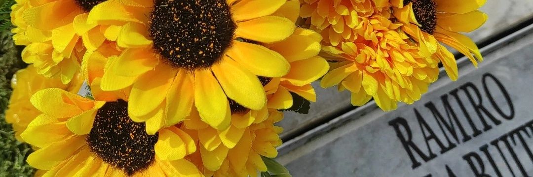 kreeng_'s profile banner image