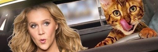 BadBeavis's profile banner image
