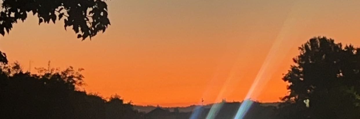 jaytothelaa's profile banner image