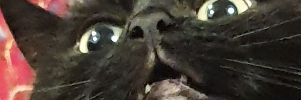 Biffekun's profile banner image