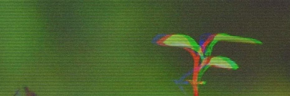 salsafuhrer's banner
