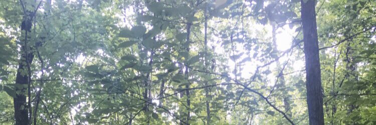 jclvsjc's profile banner image