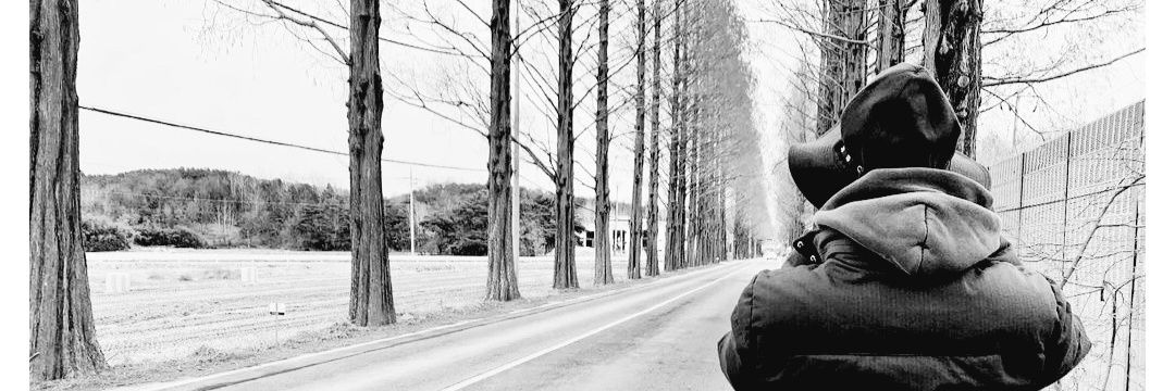 pollaristar's profile banner image