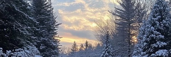 Delta_gathering Profile Banner