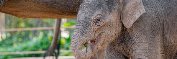 houstonzoo Profile Banner