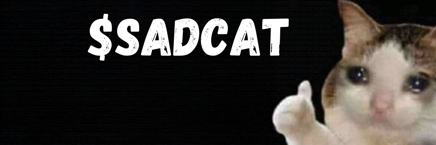 ITSSADCAT's profile banner image