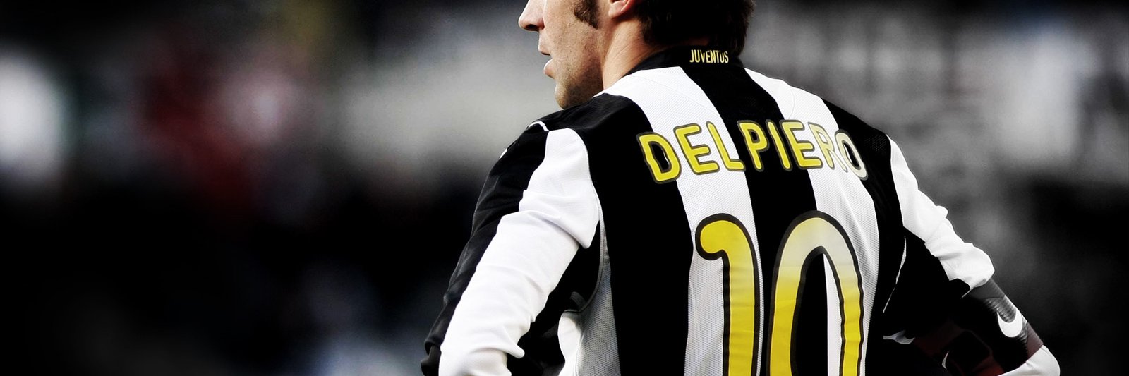dhidalgo2's profile banner image