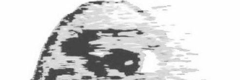anglmoid148's profile banner image