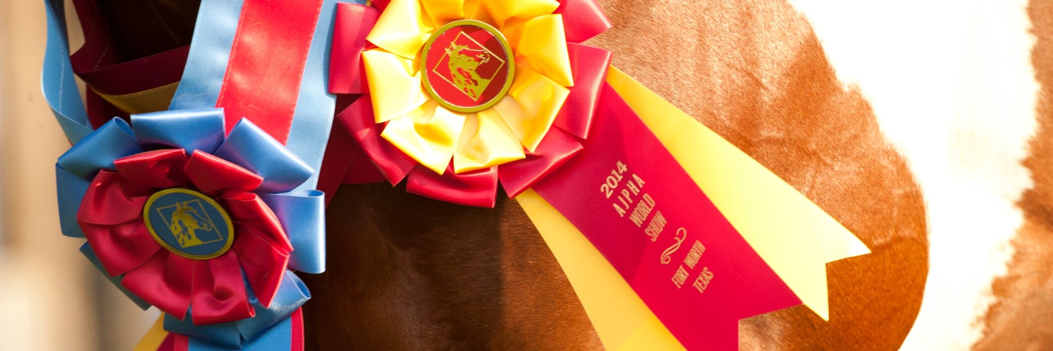 APHA World Show banner