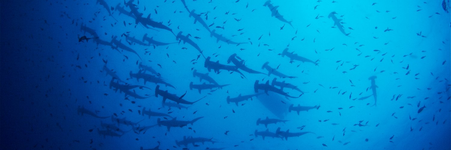 Save Our Seas banner