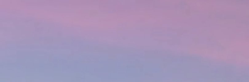 Delphine S. N. banner