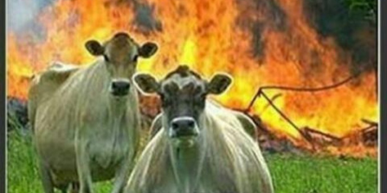 thechicksstan's profile banner image