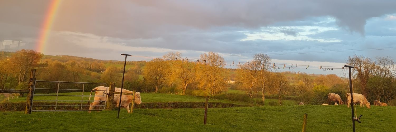 Ann Marie O'Brien banner