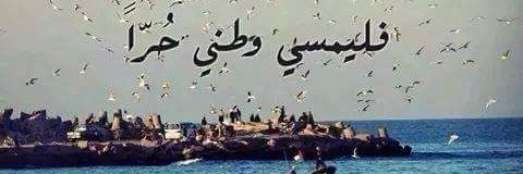 Rahaf_Aref's profile banner image