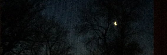 M00DY banner