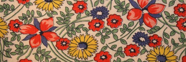 DaraCarson Profile Banner