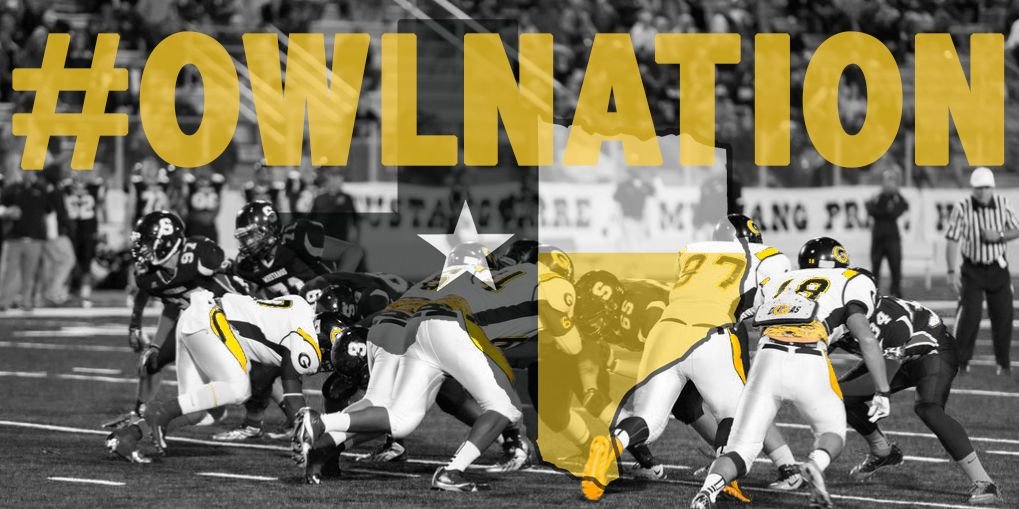 #OWLNATION banner