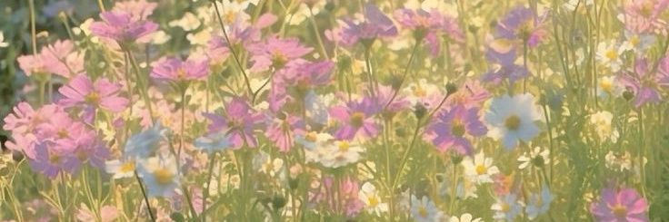 LittlePiya3685's profile banner image