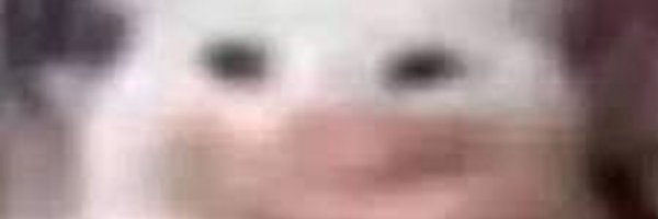 qheeio Profile Banner