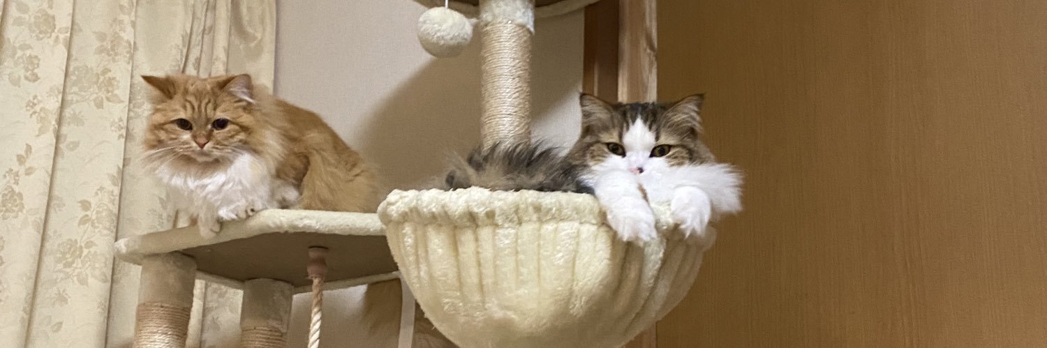 nekominit's profile banner image