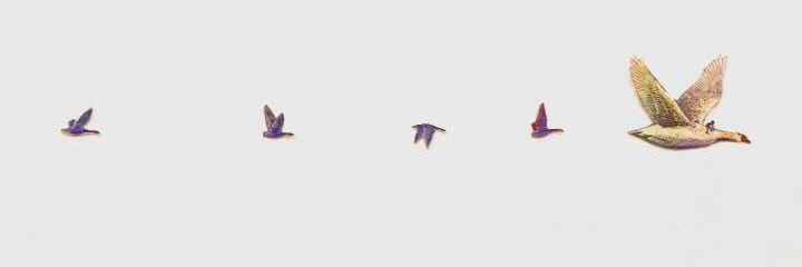 monicarc_'s profile banner image