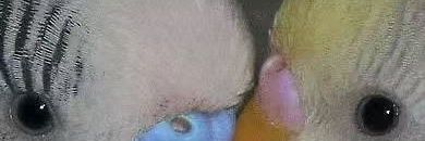 JMaoo96801's profile banner image