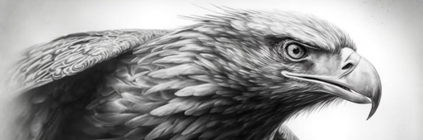 Gray_Hawk_'s profile banner image