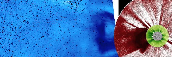 halocme Profile Banner