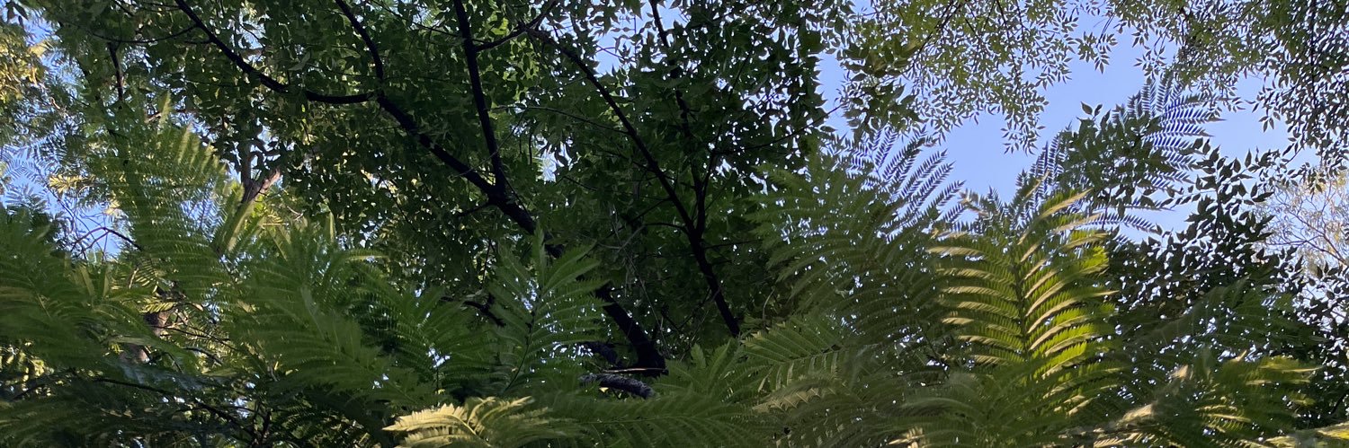 Estefanía Hernández Cerpa banner