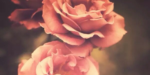 dizzy_blonde1's profile banner image