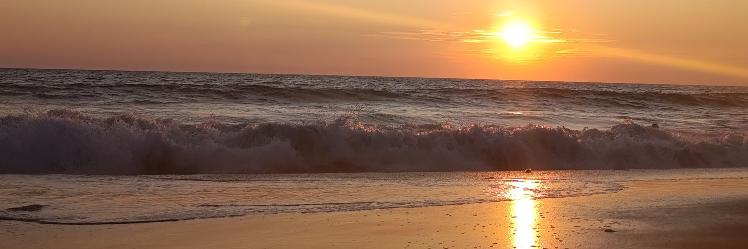 leninomar1's profile banner image