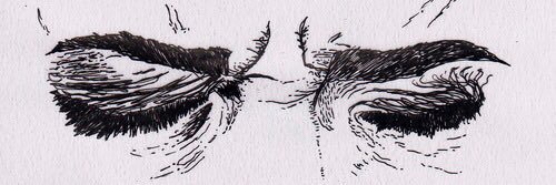 Fernando Sosaya banner