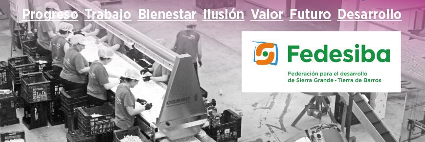 fedesiba's profile banner image