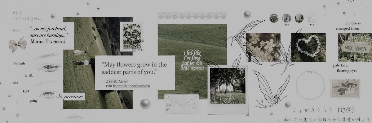 usua banner