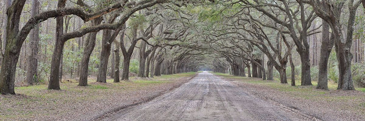 Ken_Ritter's profile banner image