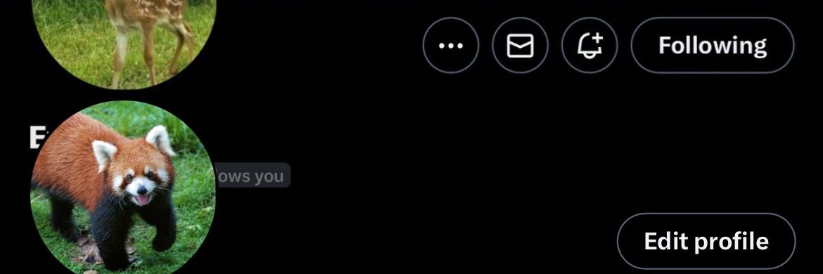 Ever (flop era) banner