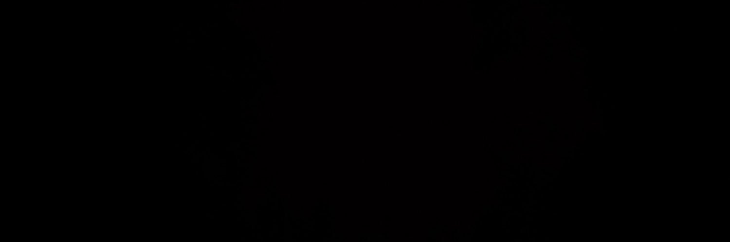 ä banner