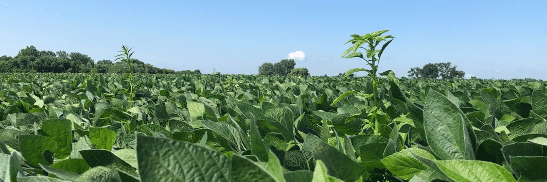 Take Action Herbicide-Resistance Management's banner