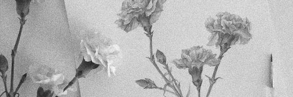 cabincravings Profile Banner