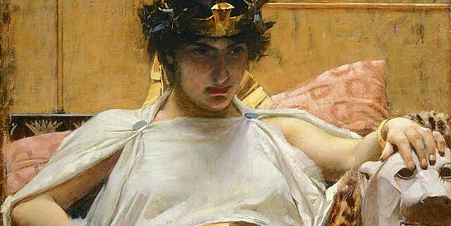 🥨hollyzone🥨 banner